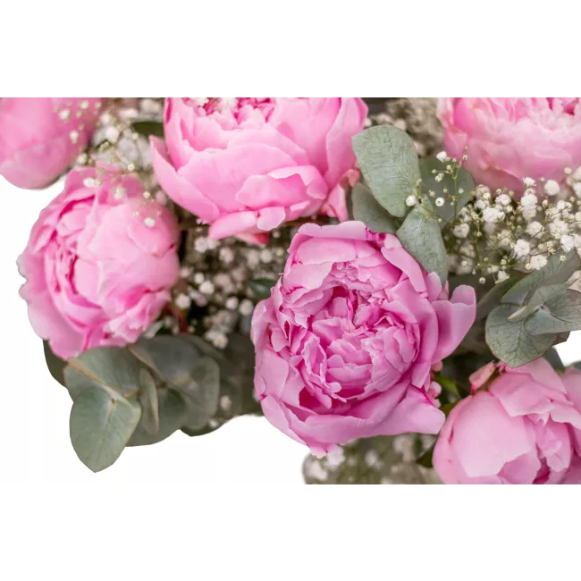 Bouquet of peonies